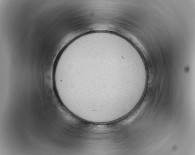 X0000103140986200809192001