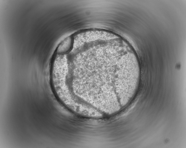 X0000103140987200809192001