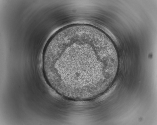 X0000103140988200809192001