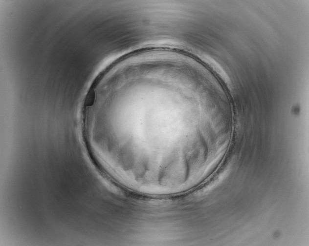 X0000103140989200809192001