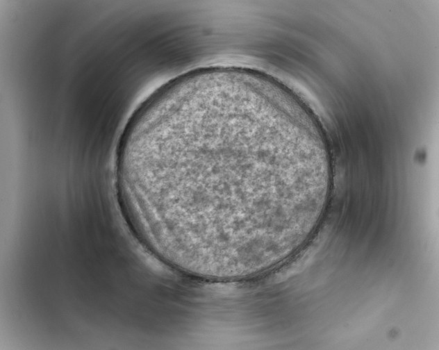 X0000103140990200809192001