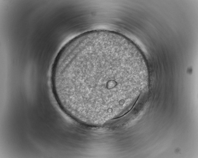 X0000103140991200809192001