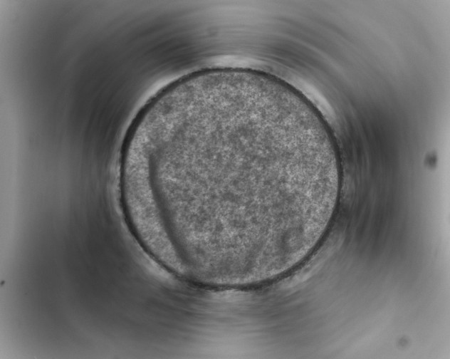 X0000103140992200809192001