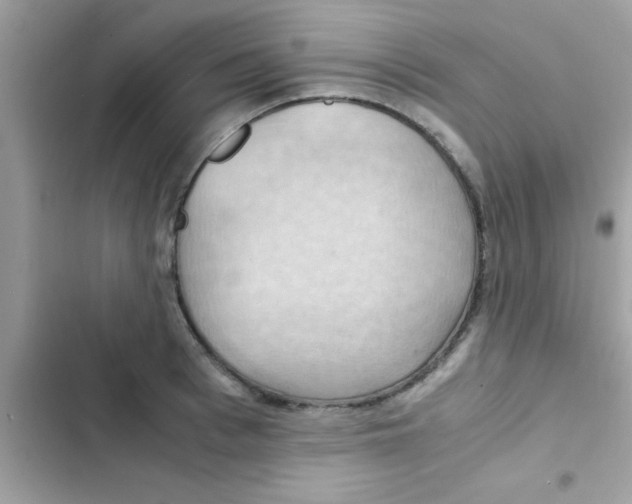 X0000103140993200809192001