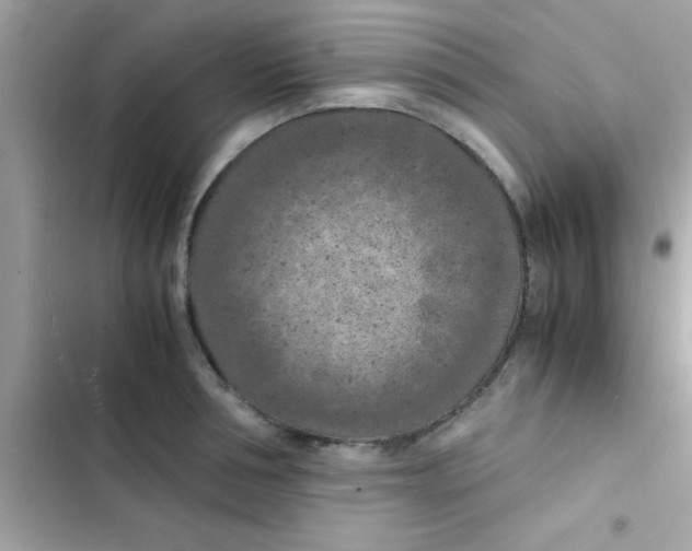 X0000103140994200809192001