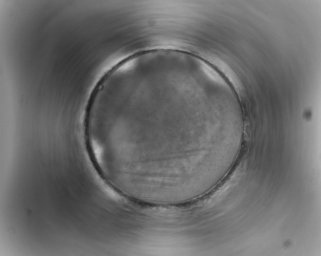 X0000103140995200809192001