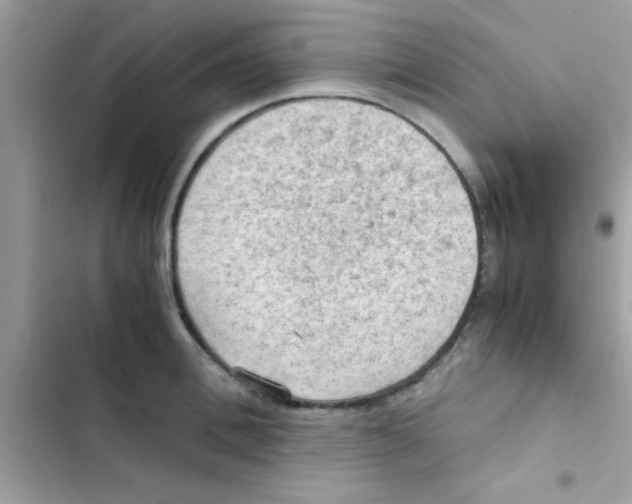 X0000103140996200809192001