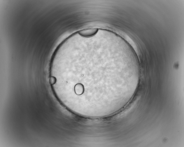 X0000103140997200809192001