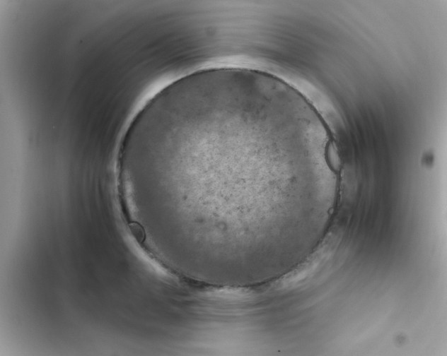 X0000103140998200809192001