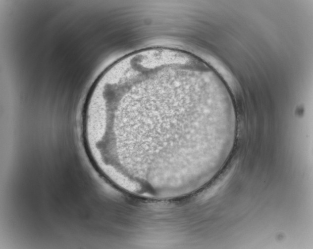 X0000103140999200809192001