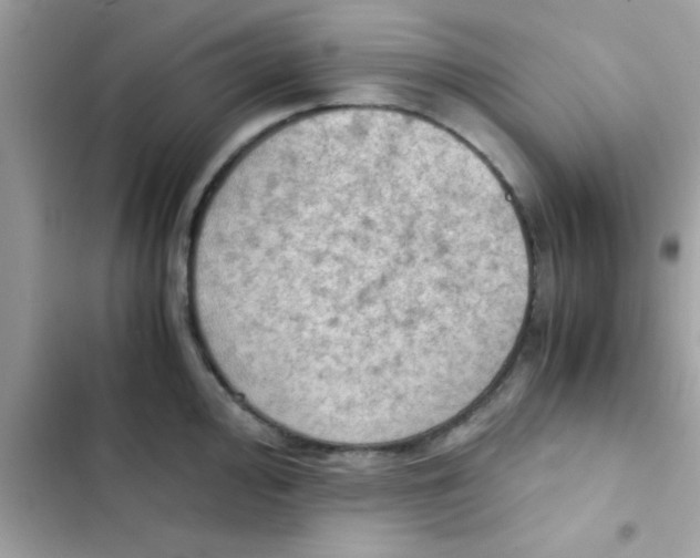 X0000103141000200809192001