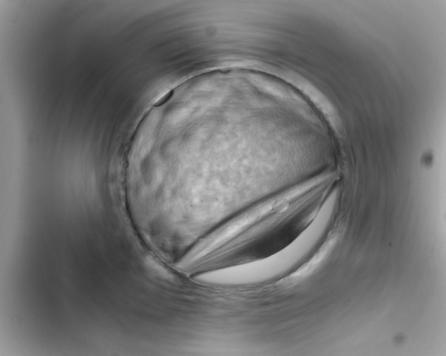 X0000103141001200809192001