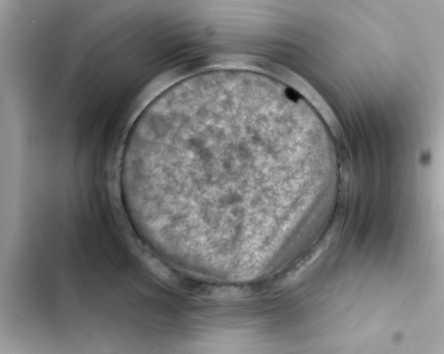 X0000103141002200809192001