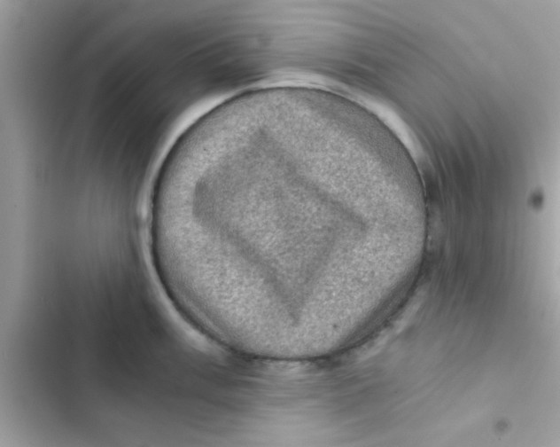 X0000103141003200809192001