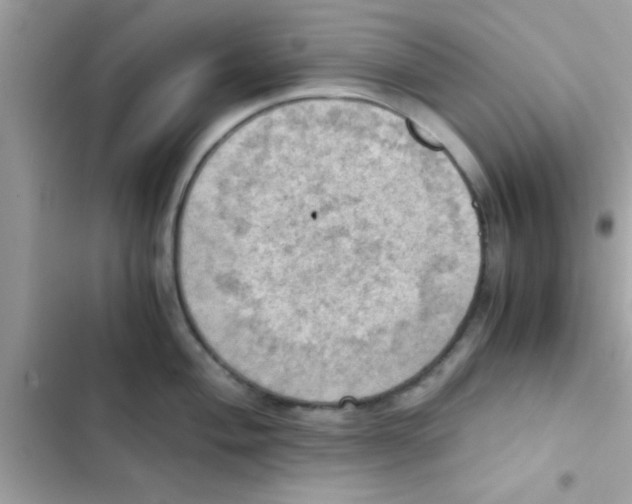 X0000103141004200809192001