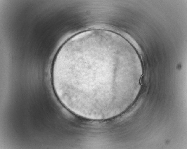 X0000103141005200809192001