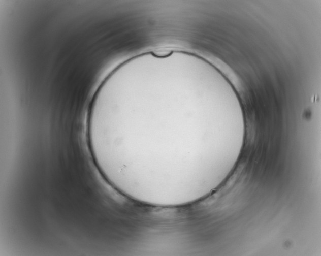 X0000103141006200809192001