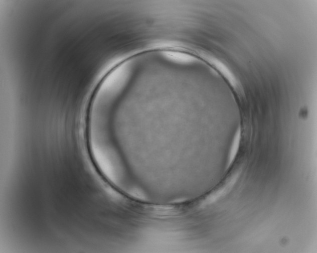 X0000103141007200809192001