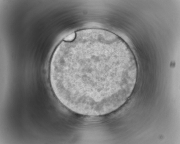 X0000103141008200809192001