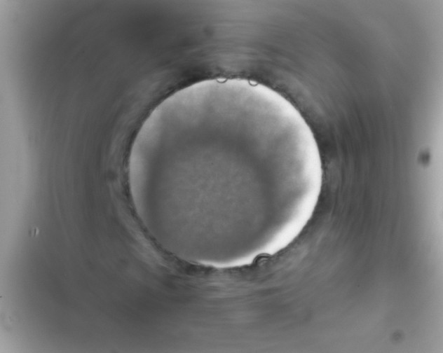 X0000103141009200809192000