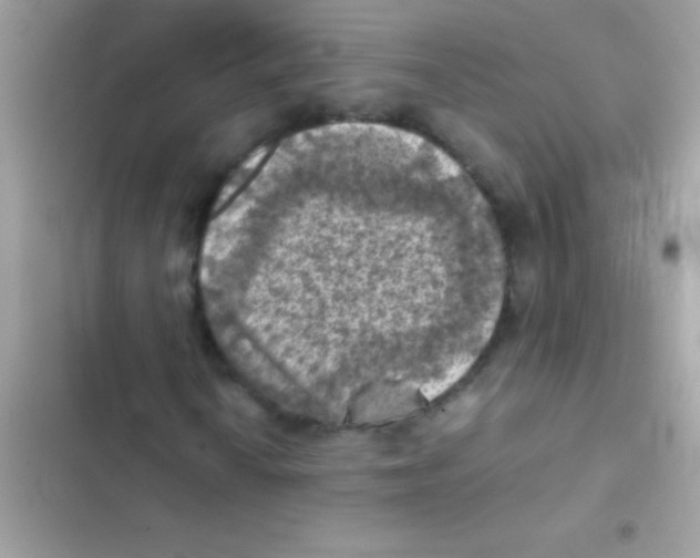 X0000103141010200809192000