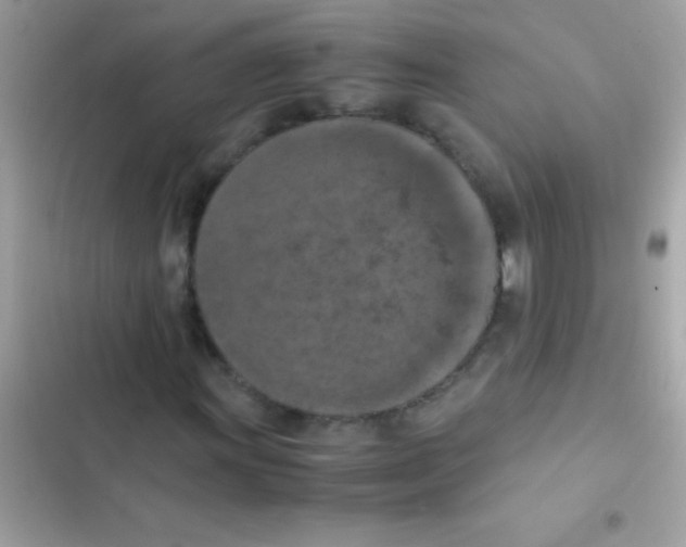 X0000103141011200809192000