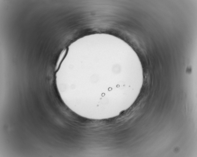 X0000103141012200809192000