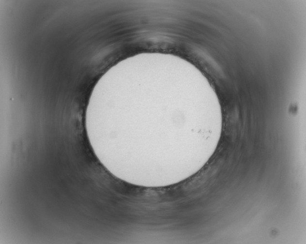 X0000103141013200809192000