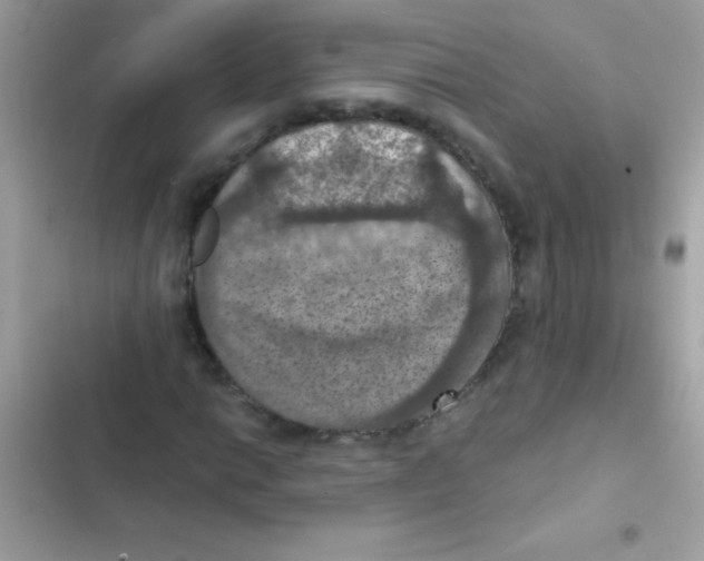 X0000103141014200809192000