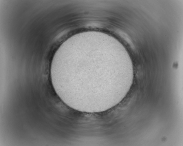 X0000103141015200809192000