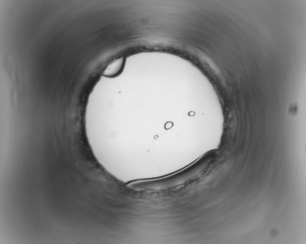 X0000103141016200809192000