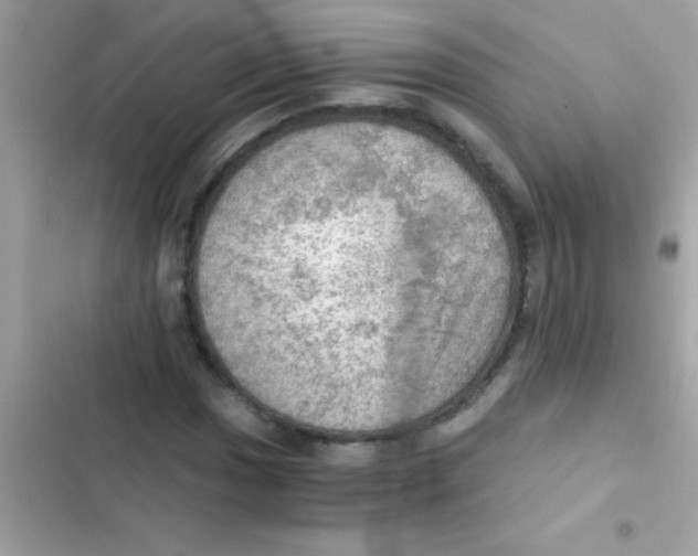 X0000103141017200809192000