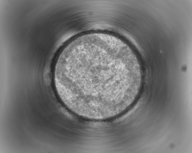 X0000103141018200809192000