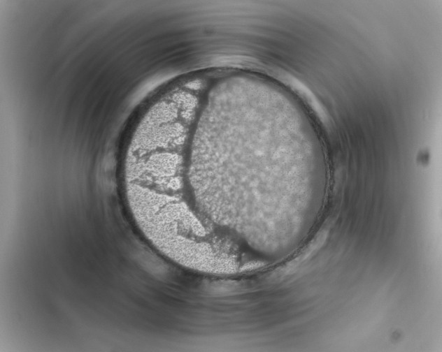 X0000103141019200809192000