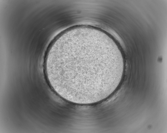 X0000103141020200809192000