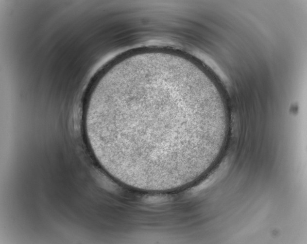 X0000103141021200809192000