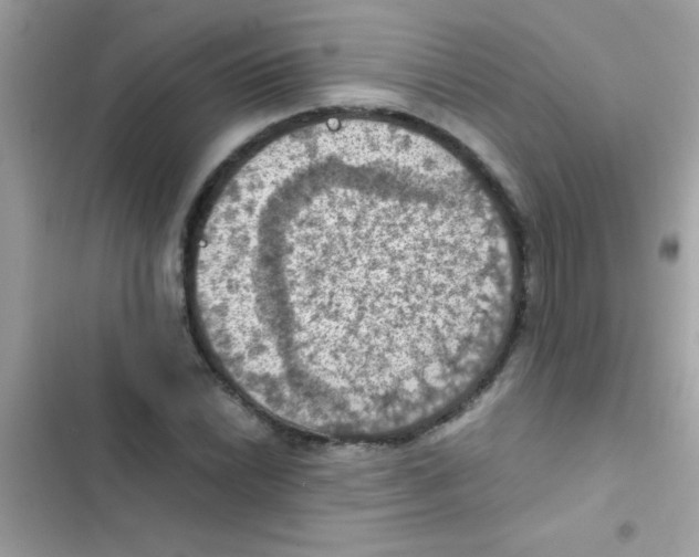 X0000103141022200809192000