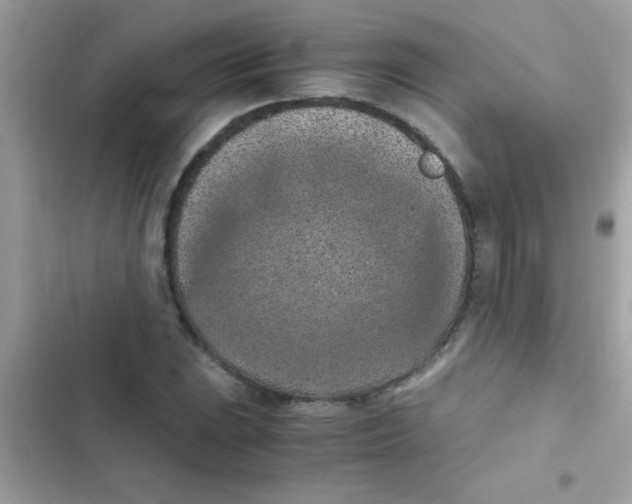 X0000103141023200809192000