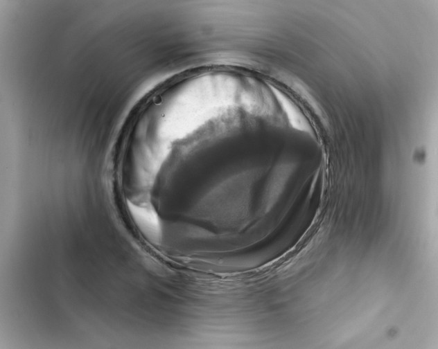 X0000103141024200809192000