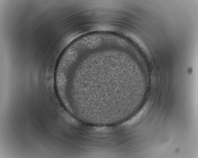 X0000103141025200809192000