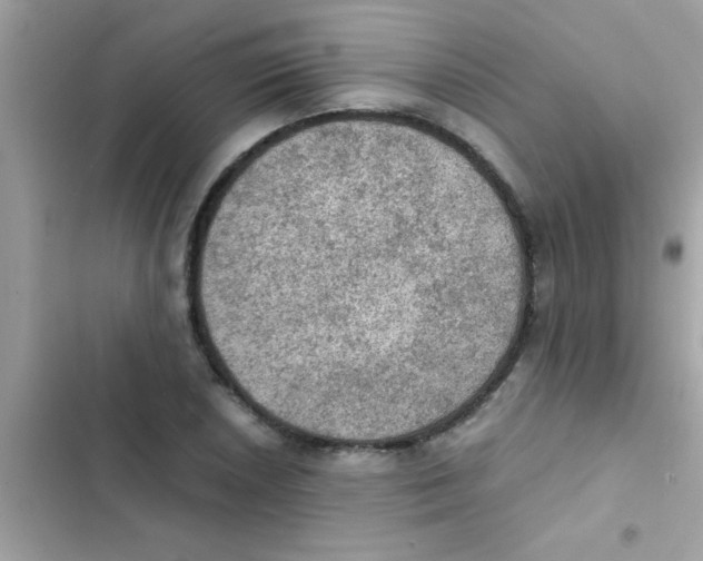 X0000103141026200809192000