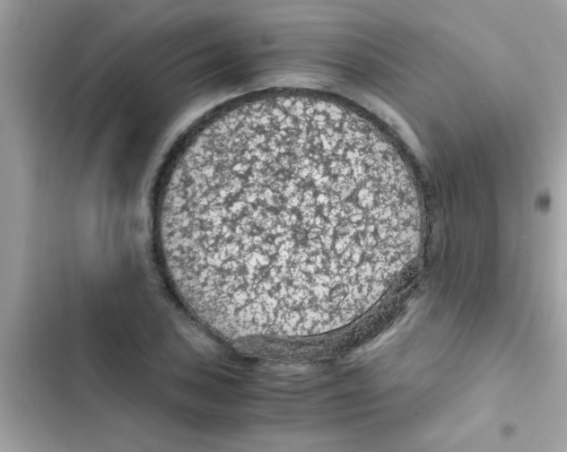 X0000103141027200809192000