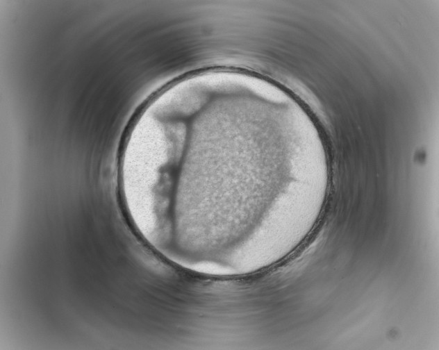 X0000103141028200809192000