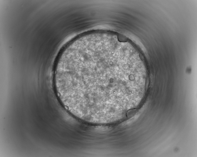 X0000103141029200809192000