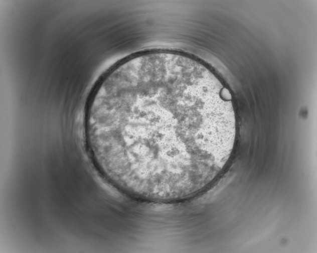 X0000103141030200809192000