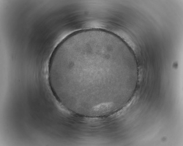 X0000103141031200809192000