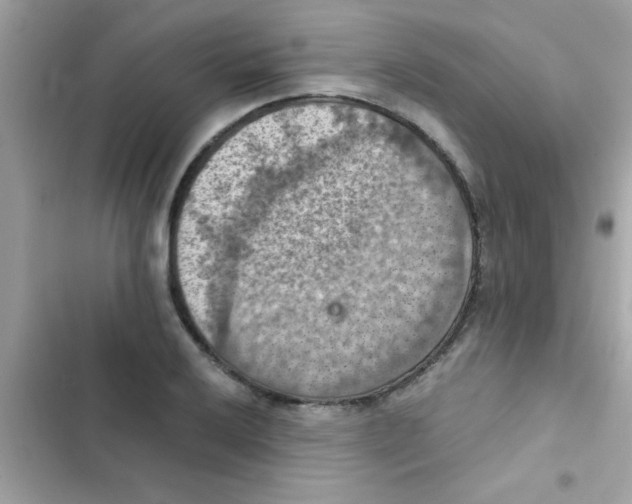 X0000103141032200809192000