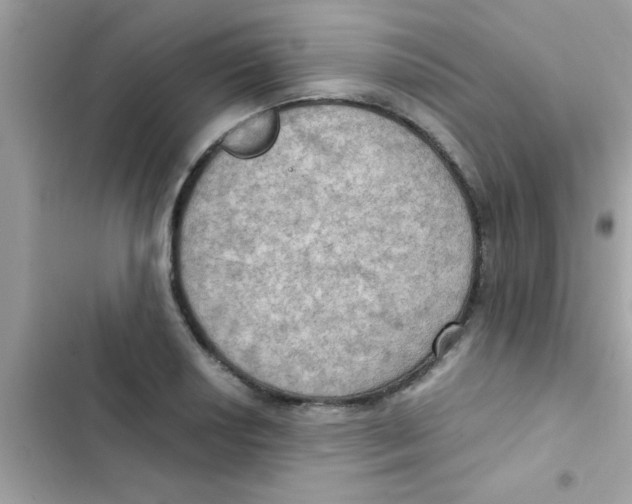 X0000103141034200809192000