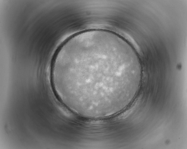 X0000103141035200809192000