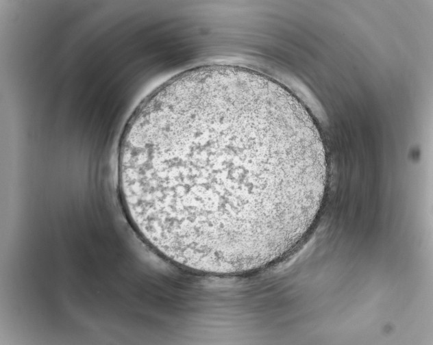 X0000103141036200809192000